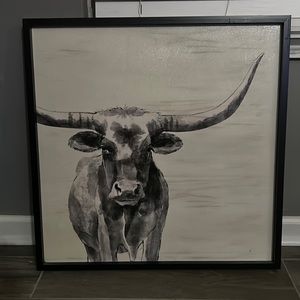 Longhorn picture